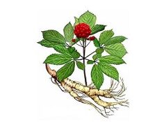 Ginseng Root pour augmenter la puissance